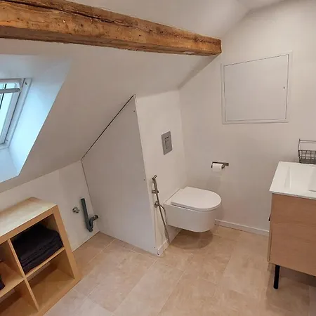 Проживання в сім'ї Large Private Near Center With Free Public Parking Кольмар