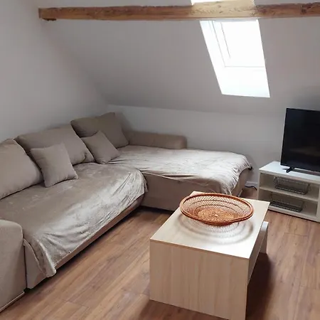 Проживання в сім'ї Large Private Near Center With Free Public Parking Кольмар