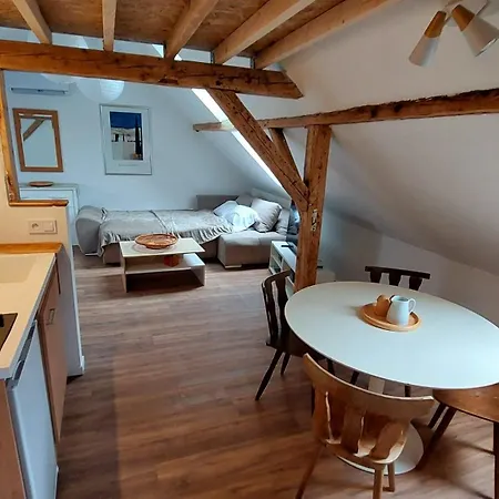 Alloggio in famiglia Large Private Near Center With Free Public Parking *