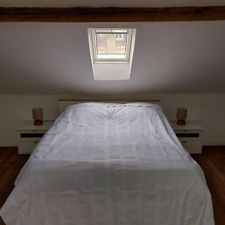 Large Private Near Center With Free Public Parking Alloggio in famiglia