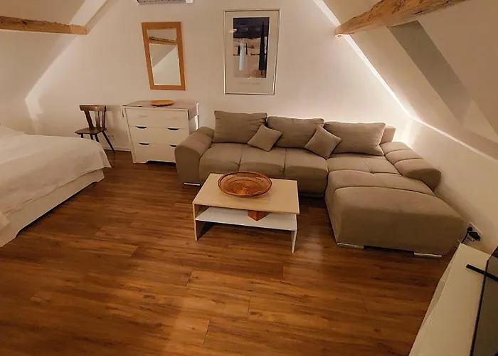 Large Private Near Center With Free Public Parking Alloggio in famiglia *