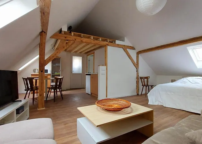 Large Private Near Center With Free Public Parking Accommodatie bij particulieren Colmar