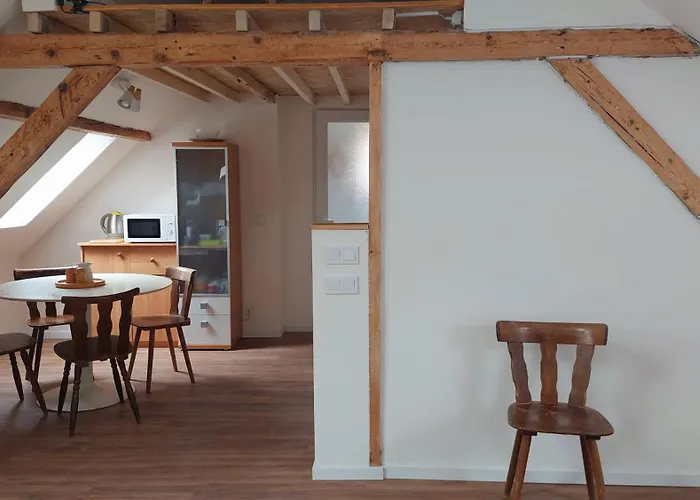 Alloggio in famiglia Large Private Near Center With Free Public Parking Colmar