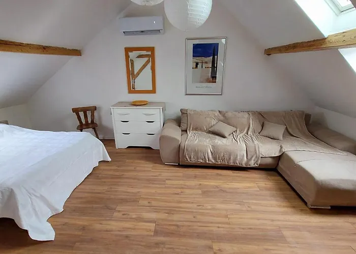 Large Private Near Center With Free Public Parking Alloggio in famiglia Colmar