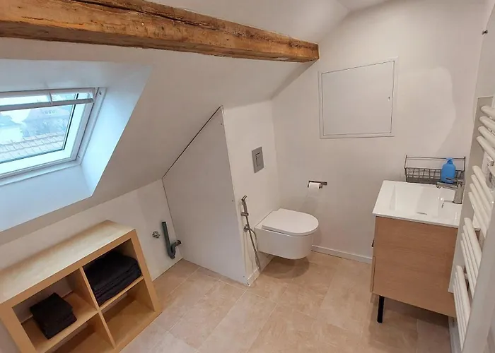 Alloggio in famiglia Large Private Near Center With Free Public Parking Colmar