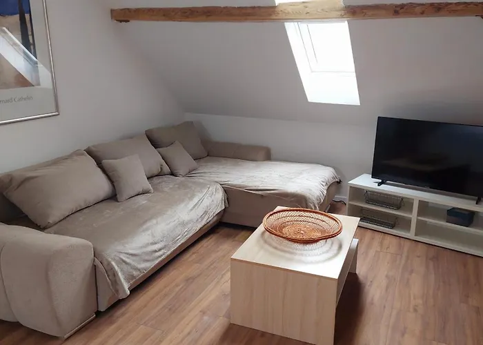 Accommodatie bij particulieren Large Private Near Center With Free Public Parking Colmar